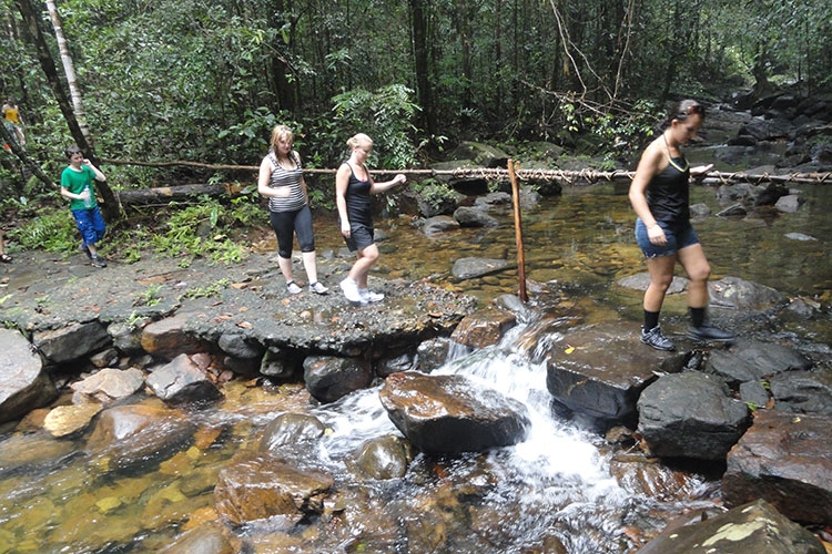 Rain Forest Tours in Sri Lanka | Rain Forest Walks in Sri Lanka | Rain Forests in Sri Lanka | Rain Forest Walks Sri Lanka