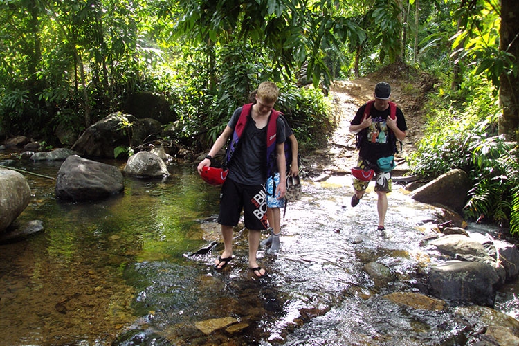 Rain Forest Tours in Sri Lanka | Rain Forest Walks in Sri Lanka | Rain Forests in Sri Lanka | Rain Forest Walks Sri Lanka