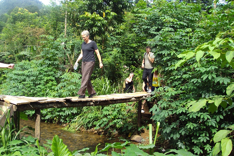 Rain Forest Tours in Sri Lanka | Rain Forest Walks in Sri Lanka | Rain Forests in Sri Lanka | Rain Forest Walks Sri Lanka