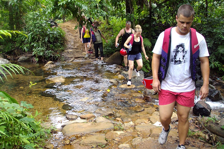 Rain Forest Tours in Sri Lanka | Rain Forest Walks in Sri Lanka | Rain Forests in Sri Lanka | Rain Forest Walks Sri Lanka