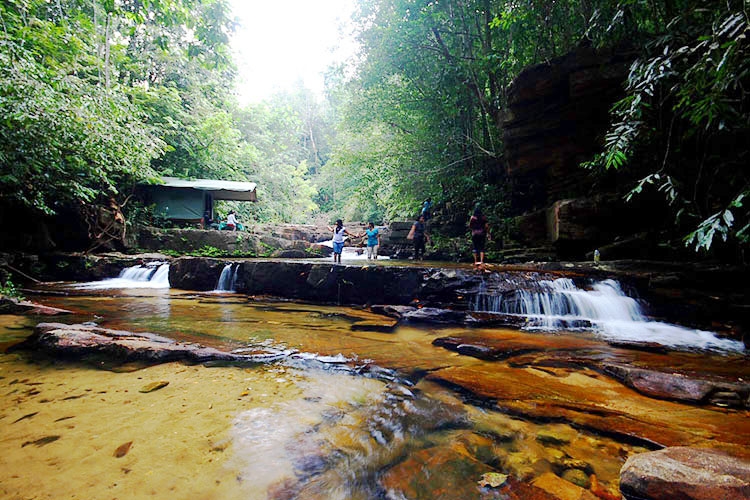 Rain Forest Camping in Sri Lanka|Kitulgala Rain Forest Camping in Sri Lanka|Rain Forest Camp near Waterfall, Waterfall Camping in Kitulgala