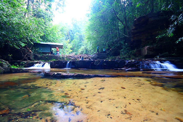 Rain Forest Camping in Sri Lanka|Kitulgala Rain Forest Camping in Sri Lanka|Rain Forest Camp near Waterfall, Waterfall Camping in Kitulgala