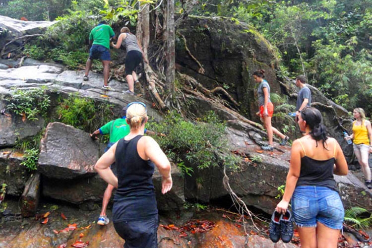 Rain Forest Camping in Sri Lanka|Kitulgala Rain Forest Camping in Sri Lanka|Rain Forest Camp near Waterfall, Waterfall Camping in Kitulgala