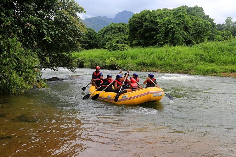 Rain Forest Camping in Sri Lanka|Kitulgala Rain Forest Camping in Sri Lanka|Rain Forest Camp near Waterfall, Waterfall Camping in Kitulgala