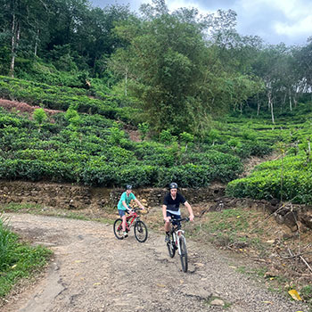 Mountain Biking in Kitulgala