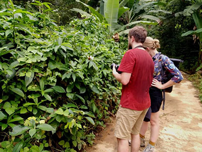 village trail  in Kitulgala