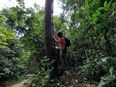 rural village walk Kitulgala