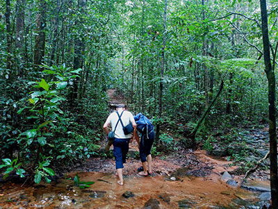 rain forest walk in Kitulgala