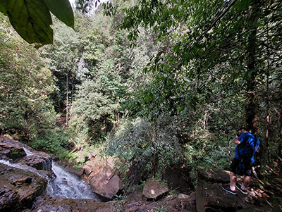 rain forest adventure tours in Kitulgala