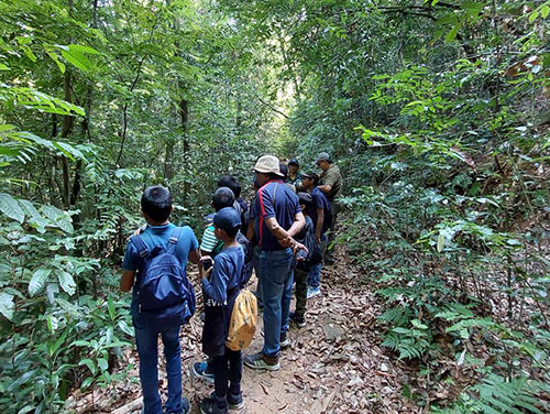 Kitulgala rain forest walk