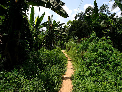 Canyoning in Kitulgala