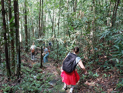 rain forest trek in Kitulgala