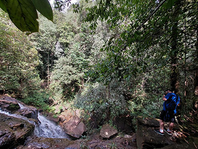 rain forest walk in Kitulgala