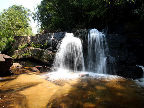 Rainforest trek in Kitulgala