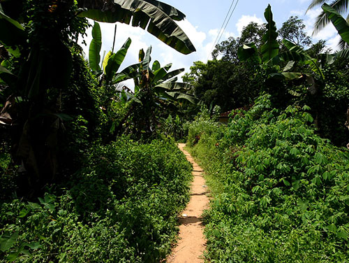 Confidence jump in Kitulgala