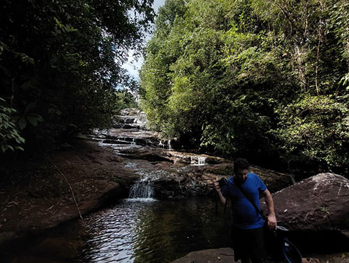 Rain forest trail in Kitulgala