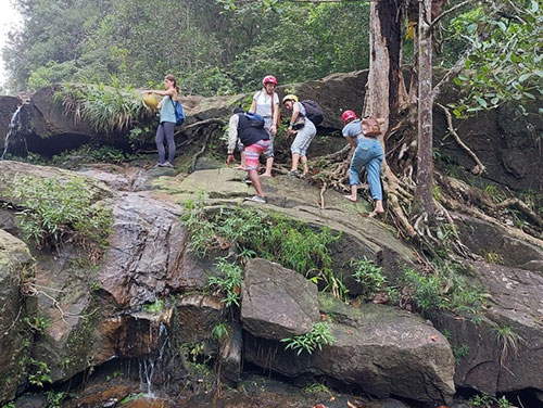Rain forest trail in Kitulgala