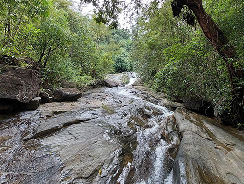 Adventure Tours in Kitulgala