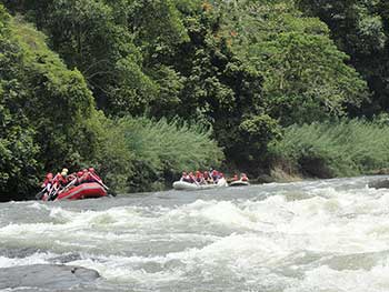 Three Nights stay in Kitulgala Adventure Camp